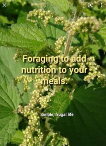 Foraging for nutrition.