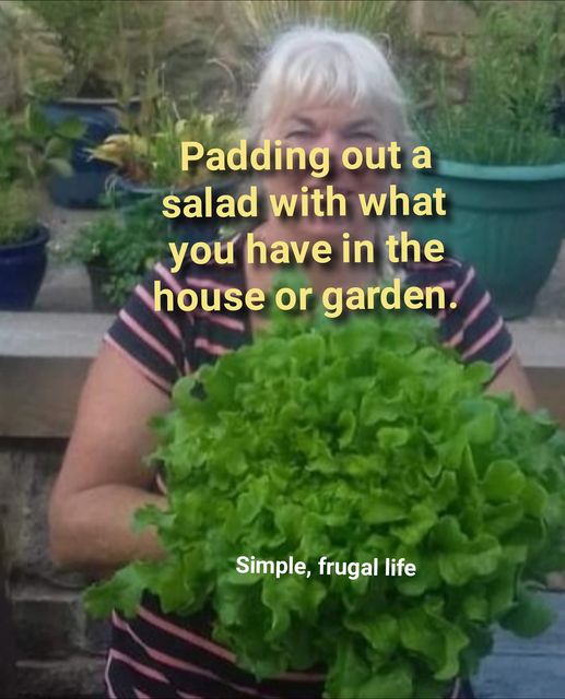 Padding out salads.