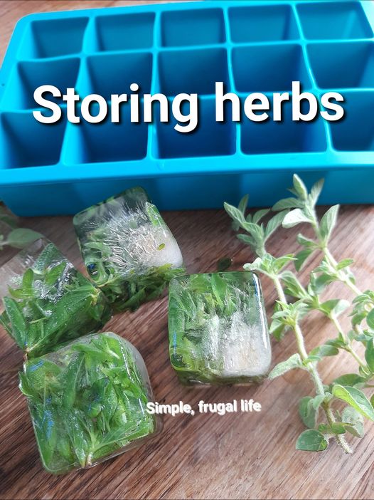 Preserving herbs.