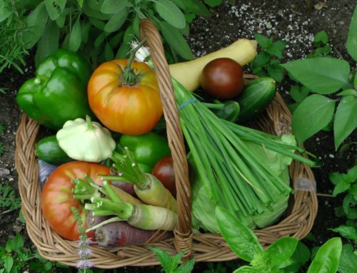 Reviewing your food growing season