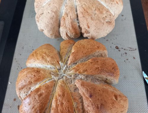 A Frugal Autumn: Adapting our Routines