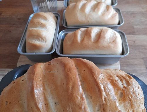 Cooking from scratch