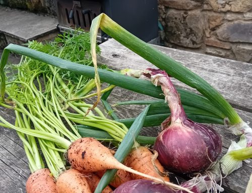 Successional planting.