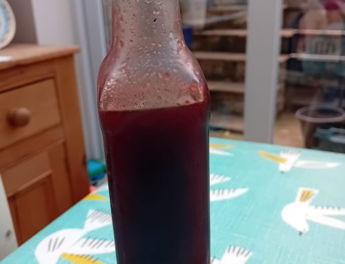 Hawthorn ketchup