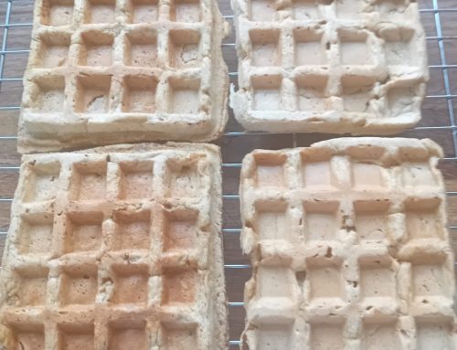 Pumpkin Puree waffles