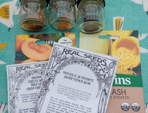 Jobs for January when growing food