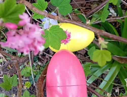 Easter, a transition to life outdoors..