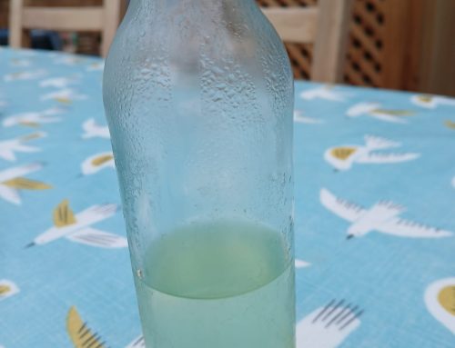 Using up canned peach syrup