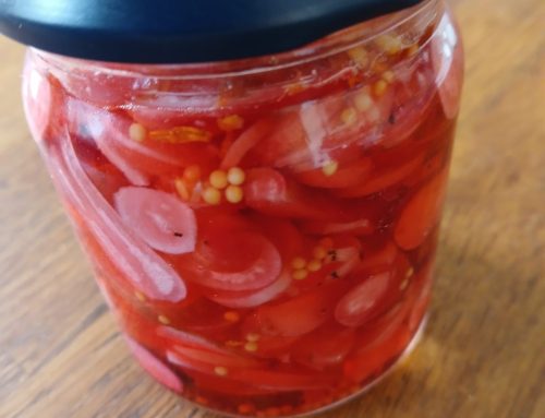 Pickled Radish.