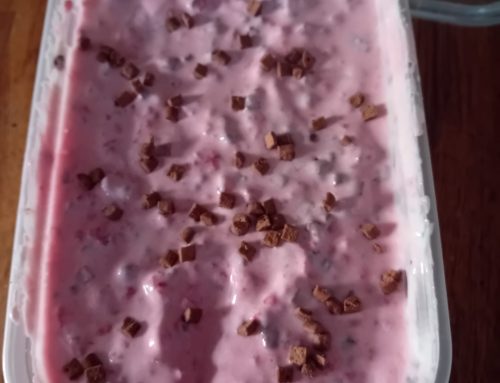 Raspberry yoghurt ice cream