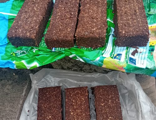 Briquettes for free fuel